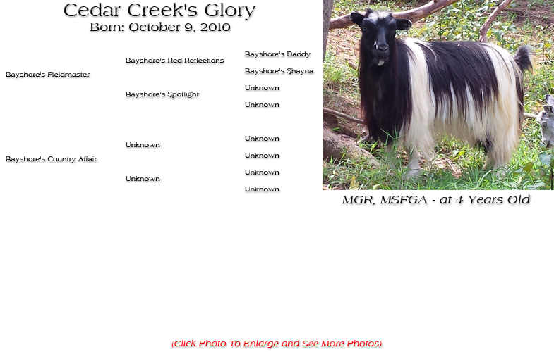 Silky Doe - Cedar Creek's Glory